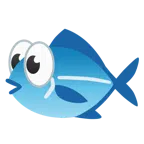 occhi + pesce
