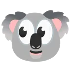 occhi + koala