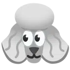 occhi + barboncino