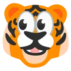 occhi + muso di tigre