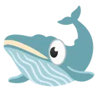 occhi + balena che spruzza acqua