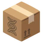 Paket + DNA