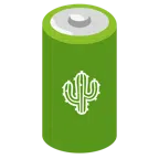 Batterie + Kaktus
