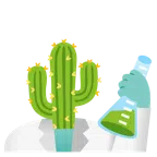 provetta + cactus