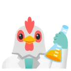 provetta + gallina