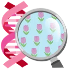 DNA + Tulpe
