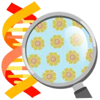 DNA + gelbe Blüte
