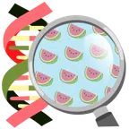 DNA + Wassermelone