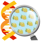 DNA + Zitrone