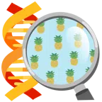 DNA + Ananas