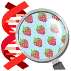 DNA + Erdbeere