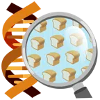 DNA + Brot
