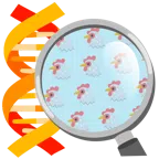 DNA + Huhn