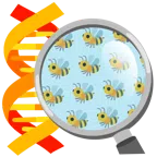 DNA + Biene