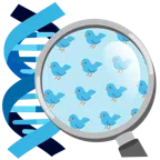 DNA + Vogel