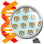 DNA + Tigergesicht