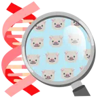 DNA + Schweinegesicht