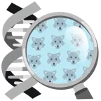 DNA + Wolf