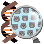 DNA + Bär