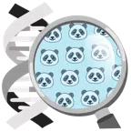 DNA + Panda