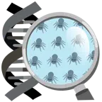 DNA + Spinne