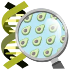 DNA + Avocado