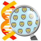 DNA + Löwe