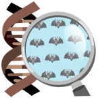 DNA + Fledermaus