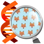 DNA + Fuchs