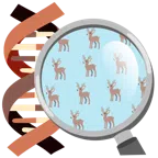 DNA + Hirsch