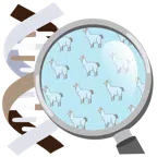 DNA + Lama