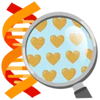 DNA + oranges Herz