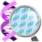 dna + dna