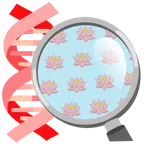 DNA + Lotusblüte
