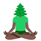 loto + albero sempreverde