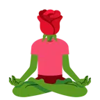 loto + rosa