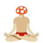 loto + fungo