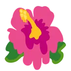 melting face + hibiscus