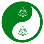 yin yang + evergreen tree