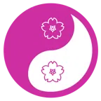 yin yang + cherry blossom