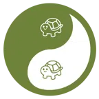 yin yang + turtle