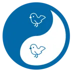 yin yang + bird