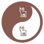 yin yang + deer