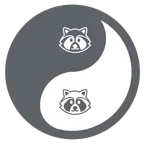 yin yang + raccoon