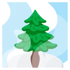 hot springs + evergreen tree