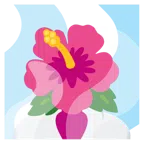hot springs + hibiscus