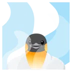 hot springs + penguin