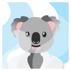 hot springs + koala
