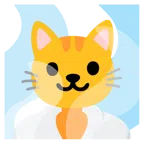 hot springs + cat face