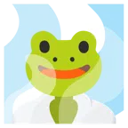 hot springs + frog
